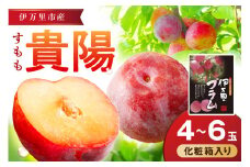 【先行予約】伊万里のすもも「貴陽」化粧箱入り（4～6玉） 003-B741