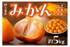 伊万里産 みかん 5kg（大津・青島・久能） 柑橘類 003-B060