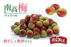 伊万里の梅 南高梅 5kg入り 003-B062