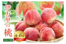 【先行予約】伊万里の桃 化粧箱入り（4～6玉） 178-B742
