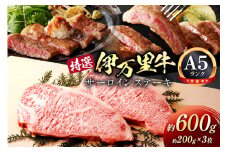 特選伊万里牛 A5 サーロインステーキ 約600g 044-J817