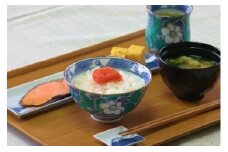 【伊万里焼】彩り唐花飯碗 茶碗（1個） 032-H306