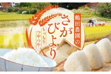 【令和6年産新米予約】ひとみちゃんちの「さがびより」10kg 046-B101