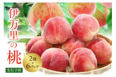 【先行予約】伊万里の桃 2個×6パック 178-B123