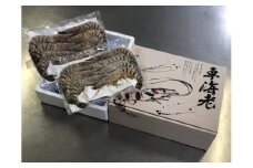伊万里産 お刺身用冷凍ジャンボ車海老（250g×2） 010-C166