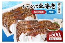 伊万里産 お刺身用冷凍ジャンボ車海老（250g×2） 010-C166