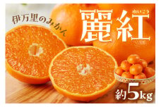 伊万里のみかん「麗紅」5kg 柑橘類 003-B721