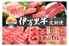 【伊万里牛】 食べつくし 定期便 6回便 モモスライス入り ヒレステーキ 30万円コース 999-J253