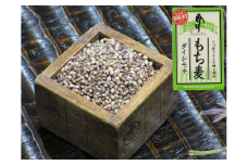もち麦（ダイシモチ）1600g×2袋 034-B146