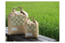佐賀県産さがびより10kg 034-B147