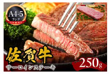 A5 A4佐賀牛サーロインステーキ 250g 092-J592
