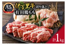 伊万里牛 切り落とし 有田鶏モモ セット チキンステーキ 唐揚げ 015-J282