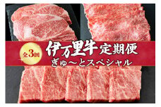 伊万里牛 ぎゅ～と 定期便 スペシャル 3回便 すき焼き ステーキ 焼肉 999-J319