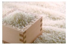 伊万里の米「ヒノヒカリ」5kg コシヒカリと黄金晴の交配種 003-B174