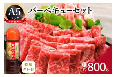 バーベキューセット 伊万里牛 モモ 鶏肉 約800g 002-J340