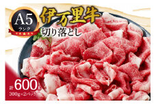 A5 A4厳選 伊万里牛切り落とし 600g 小分け 焼肉 牛丼 炒め物に 061-J940