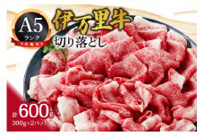 A5 A4厳選 伊万里牛切り落とし 600g 小分け 焼肉 牛丼 炒め物に 061-J940