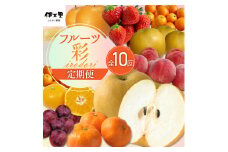 フルーツ定期便【10回便】彩 いちご もも みかん等 10種類 999-B718