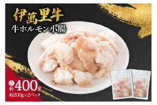 伊万里牛ホルモン 約400g 焼肉 もつ鍋におすすめ 007-J712