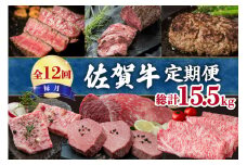 【全12回】毎月お届け 佐賀牛 定期便 総計15.5kg 999-J475