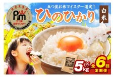 令和6年産 【定期便】 ひのひかり 白米 5kg×6回 999-B694