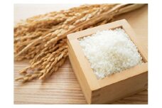 佐賀県産 ゆめしずく 白米4.5kg×3回定期便 999-B749