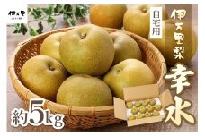【2025年産先行予約】伊万里梨 「幸水」 約5kg ご自宅用におすすめ 178-B160