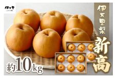 【令和7年産先行予約】伊万里梨「新高」 10kg （約5kg×2箱） 178-B166