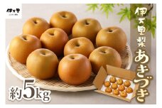 【2025年産先行予約】伊万里梨「あきづき」 約5kg 178-B165