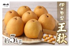 【2025年産先行予約】伊万里梨「王秋」 約5kg 178-B163