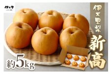 【2025年産先行予約】伊万里梨「新高」 5kg 大型種 178-B162