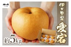 【令和7年産先行予約】伊万里梨 「愛宕」 約5kg 大型種 178-B164