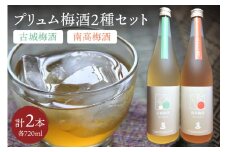 松浦一 プリュム 南高梅酒 古城梅酒 四合瓶2本セット 039-D273