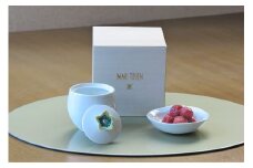 【伊万里焼】 伊万里陶苑花摘梅壺 小梅セット 070-G222
