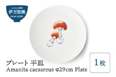 【伊万里焼】プレート 平皿 Amanita caesareus φ29cm Plate 028-H835