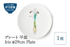 【伊万里焼】プレート 平皿 Iris φ29cm Plate 028-H836