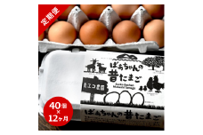 【12回定期便】平飼いで のびのび！ばあちゃんの昔たまご 40個/月 割れ保証あり 999-B612