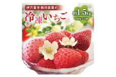 【数量限定】伊万里産急速冷凍いちご1.5kg ～鶴田農園～ 046-B384