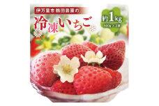 【数量限定】伊万里産急速冷凍いちご1kg ～鶴田農園～ 046-B383