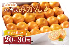 佐賀県産ハウスみかんギフト箱 フルーツ 柑橘類 147-B386