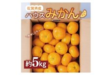 佐賀県産ハウスみかん5kg フルーツ 柑橘類 147-B387