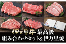 伊万里焼皿付き 伊万里牛 美味 定期便 【5回便】ステーキ すき焼き 焼肉 999-J617