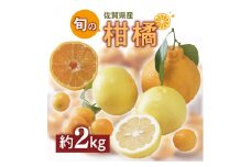 佐賀の旬の柑橘をお届け 佐賀産かんきつ2kg 147-B396