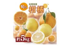 佐賀の旬の柑橘をお届け 佐賀産かんきつ5kg 147-B397