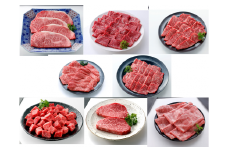 伊万里牛あじわい定期便 6回便 ヒレステーキ 焼肉 すき焼き しゃぶしゃぶ 999-J954