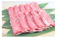 佐賀牛ローススライス すき焼き用 500g （500g×1パック） 149-J672