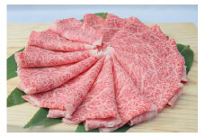 佐賀牛ローススライス しゃぶしゃぶ用 500g （500g×1パック） 149-J674