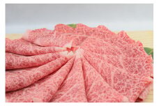 佐賀牛ローススライス しゃぶしゃぶ用 800g （800g×1パック） 149-J675