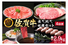 佐賀牛4種食べ比べセット 4回便 合計2.9kg （約2～3人前） サーロイン ロース ハンバーグ ステーキ しゃぶしゃぶ すき焼き 999-J664