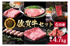 佐賀牛セット 4.7kg 6回便 ヒレ 赤身 モモスライス サーロイン ロース 999-J667